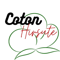 cotonhirsute